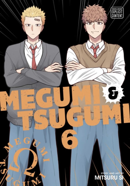 Megumi  Tsugumi Vol. 6