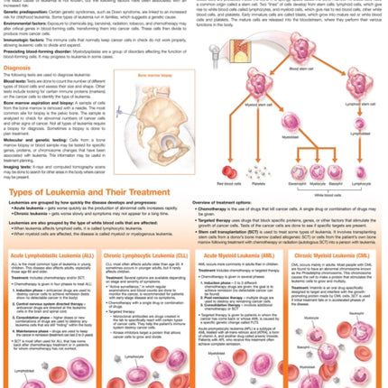 Understanding Leukemia Anatomical Chart