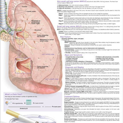 Understanding Lung Cancer Anatomical Chart