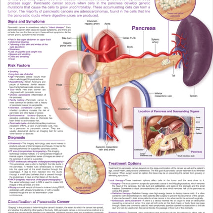 Understanding Pancreatic Cancer Anatomical Chart