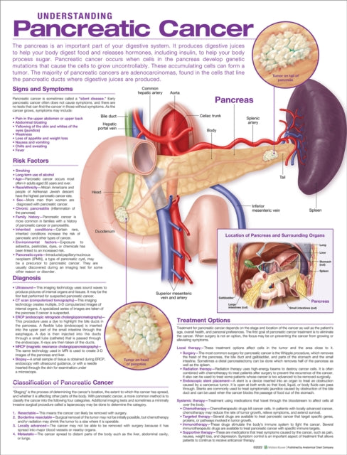 Understanding Pancreatic Cancer Anatomical Chart