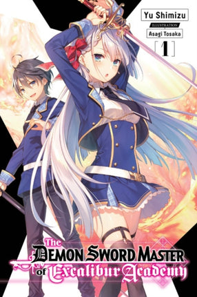 The Demon Sword Master of Excalibur Academy, Vol. 1 (light novel)