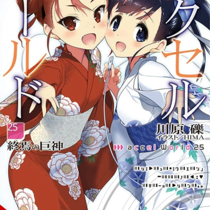 Accel World, Vol. 25 (light novel)