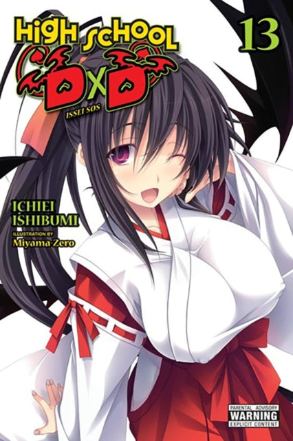 High School DxD Vol. 13 light novel