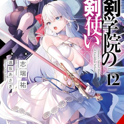 The Demon Sword Master of Excalibur Academy Vol. 12 Light Novel