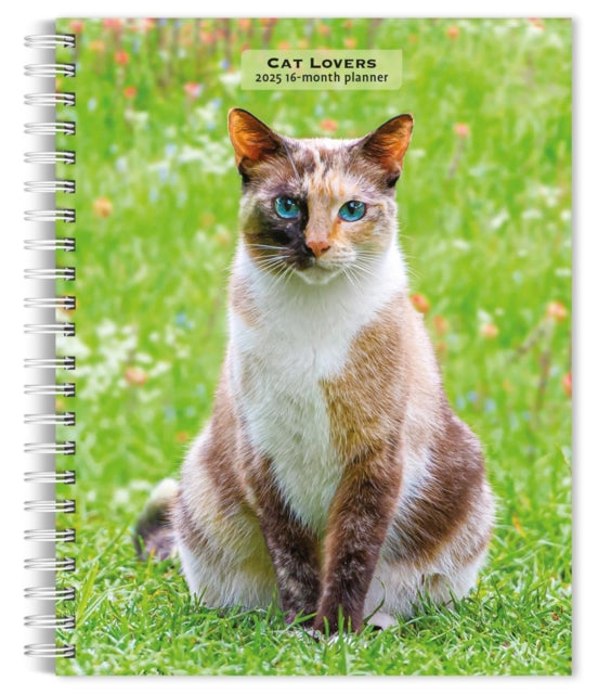 Cat Lovers 2025 6 X 7.75 Inch SpiralBound WireO Weekly Engagement Planner Calendar New FullColor Image Every Week