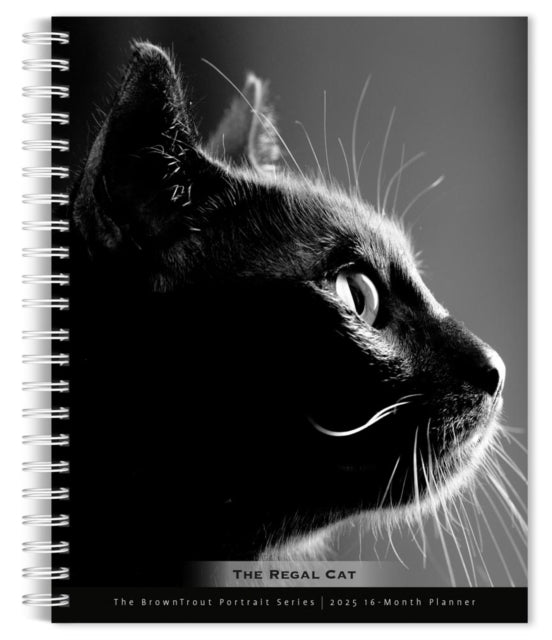 The Browntrout Portrait Series The Regal Cat 2025 6 X 7.75 Inch SpiralBound WireO Weekly Engagement Planner Calendar New FullColor Image Every Week