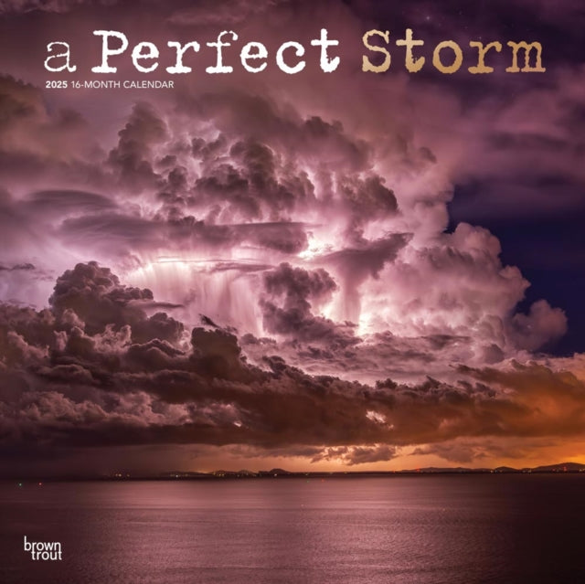 A Perfect Storm 2025 12 X 24 Inch Monthly Square Wall Calendar Foil Stamped Cover PlasticFree