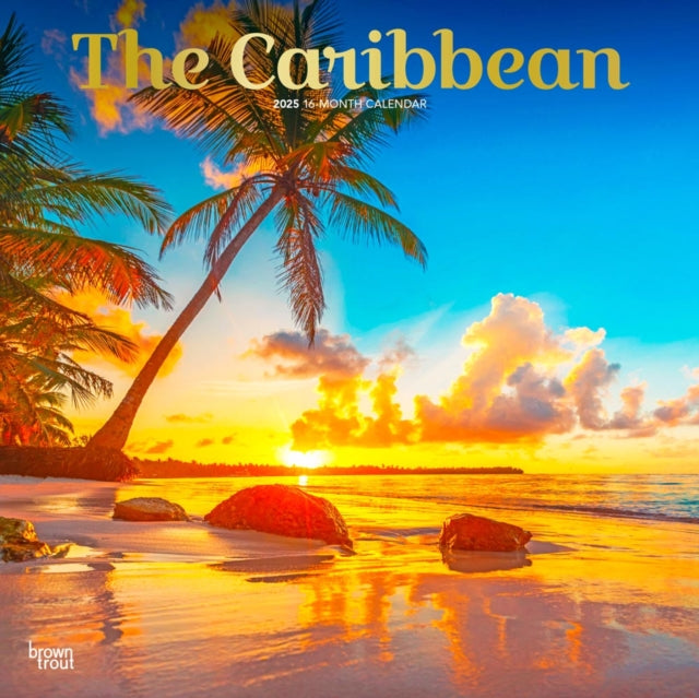 The Caribbean 2025 12 X 24 Inch Monthly Square Wall Calendar Foil Stamped Cover PlasticFree