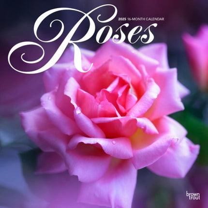 Roses 2025 12 X 24 Inch Monthly Square Wall