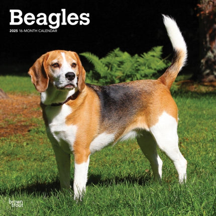 Beagles 2025 12 X 24 Inch Monthly Square Wall