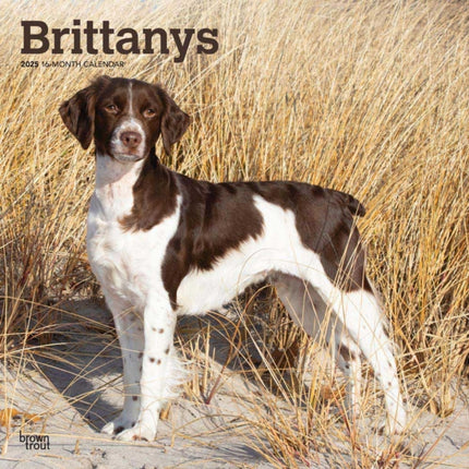 Brittanys 2025 12 X 24 Inch Monthly Square Wall