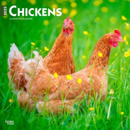 Chickens 2025 12 X 24 Inch Monthly Square Wall