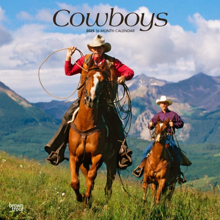 Cowboys 2025 12 X 24 Inch Monthly Square Wall