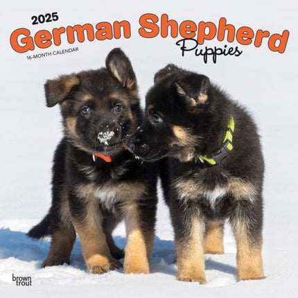German Shepherd Puppies 2025 12 X 24 Inch Monthly