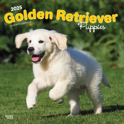 Golden Retriever Puppies 2025 12 X 24 Inch