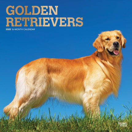 Golden Retrievers 2025 12 X 24 Inch Monthly