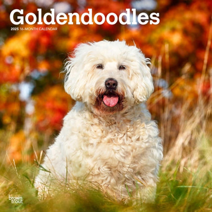Goldendoodles 2025 12 X 24 Inch Monthly Square
