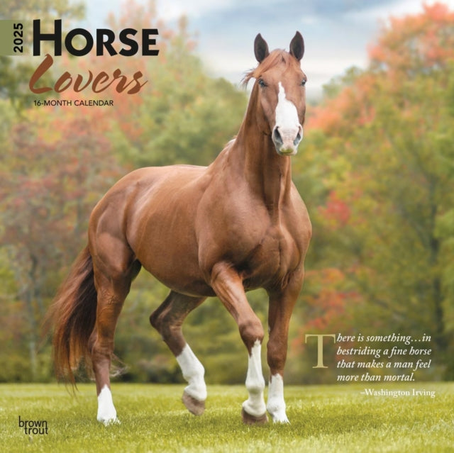 Horse Lovers 2025 12 X 24 Inch Monthly Square Wall Calendar PlasticFree