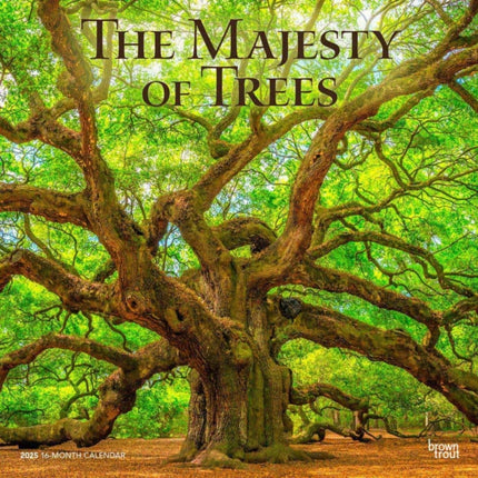The Majesty of Trees 2025 12 X 24 Inch Monthly
