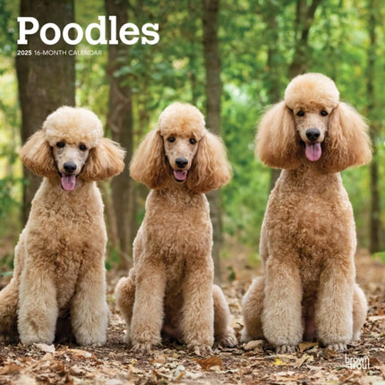 Poodles 2025 12 X 24 Inch Monthly Square Wall