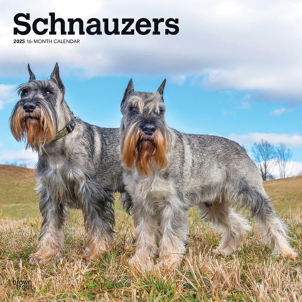 Schnauzers 2025 12 X 24 Inch Monthly Square Wall