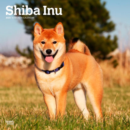 Shiba Inu 2025 12 X 24 Inch Monthly Square Wall
