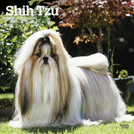 Shih Tzu 2025 12 X 24 Inch Monthly Square Wall