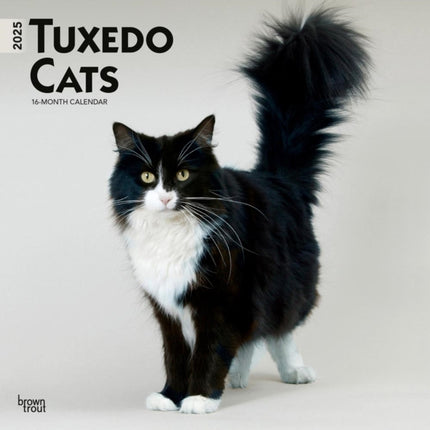 Tuxedo Cats 2025 12 X 24 Inch Monthly Square Wall