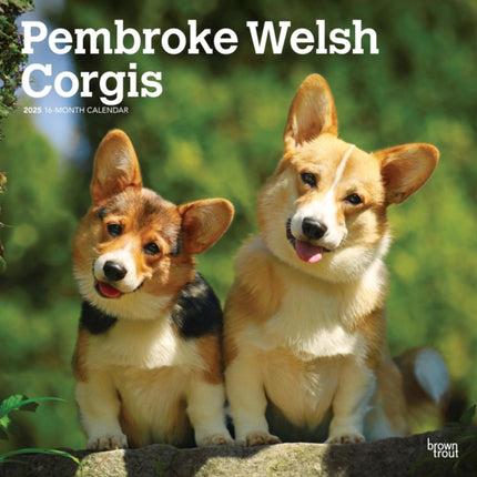 Pembroke Welsh Corgis 2025 12 X 24 Inch Monthly