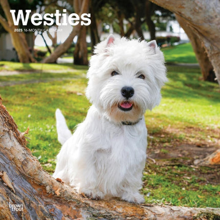 West Highland White Terriers 2025 12 X 24 Inch