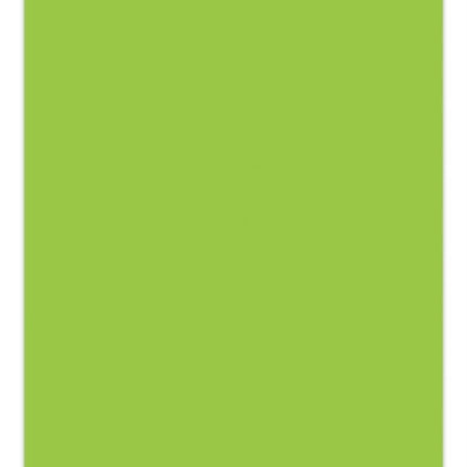 Pantone Official Green Apple Compact Journal