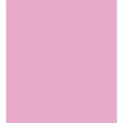 Pantone Official Lilac Orchid Compact Journal