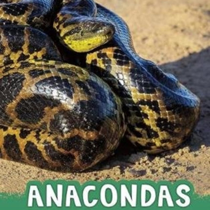 Anacondas