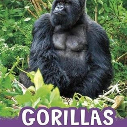 Gorillas