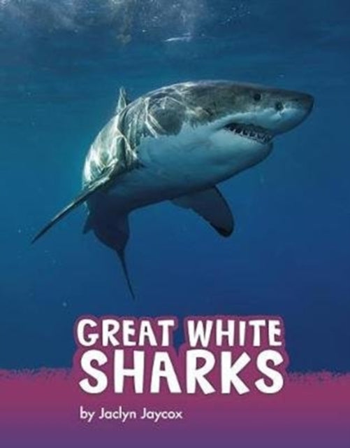 Great White Sharks