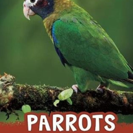 Parrots