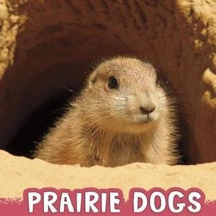 Prairie Dogs