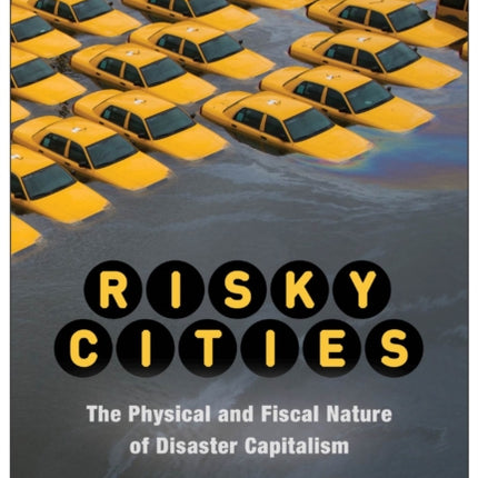 Risky Cities: The Physical and Fiscal Nature of
