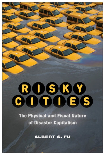 Risky Cities: The Physical and Fiscal Nature of