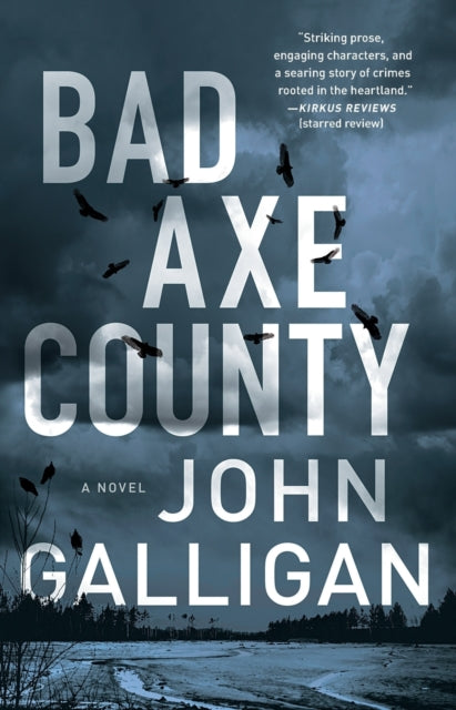 Bad Axe County: A Novel