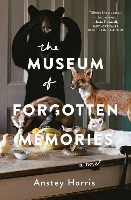 The Museum of Forgotten Memories