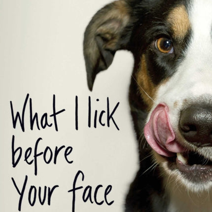 What I Lick Before Your Face: And Other Haikus by Dogs