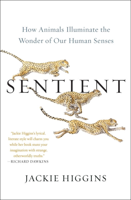 Sentient: How Animals Illuminate the Wonder of Our Human Senses