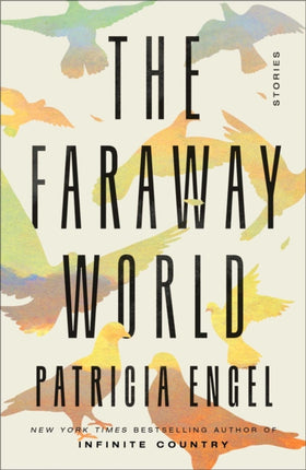 The Faraway World: Stories