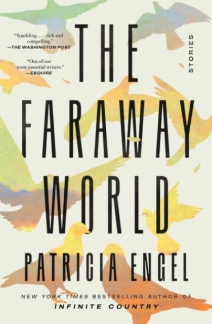 The Faraway World: Stories