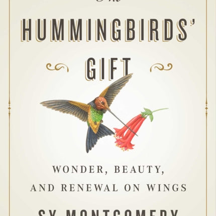 The Hummingbirds' Gift: Wonder, Beauty, and Renewal on Wings