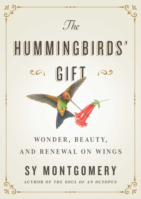 The Hummingbirds' Gift: Wonder, Beauty, and Renewal on Wings