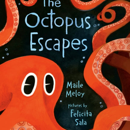 The Octopus Escapes