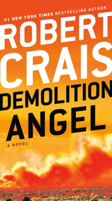 Demolition Angel: A Novel